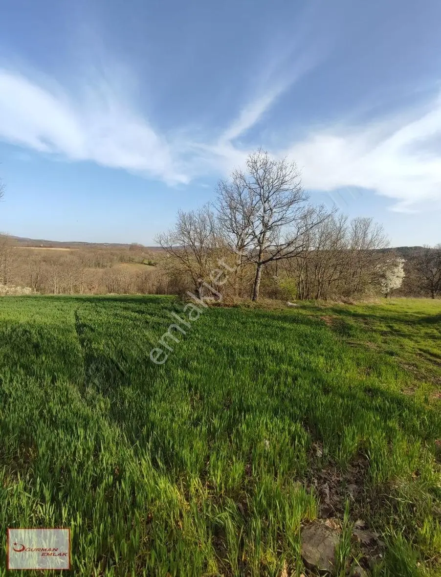 Uğurman Emlak'tan Armağanda Resmi Yolu Ana Yola Yakın Arazi - Görsel 5