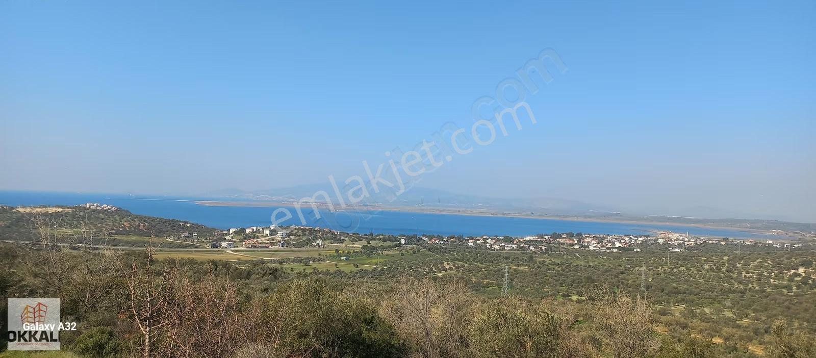 Okkalı Emlka Tan Aliağa Şakran Da Satılık Zeytinlik