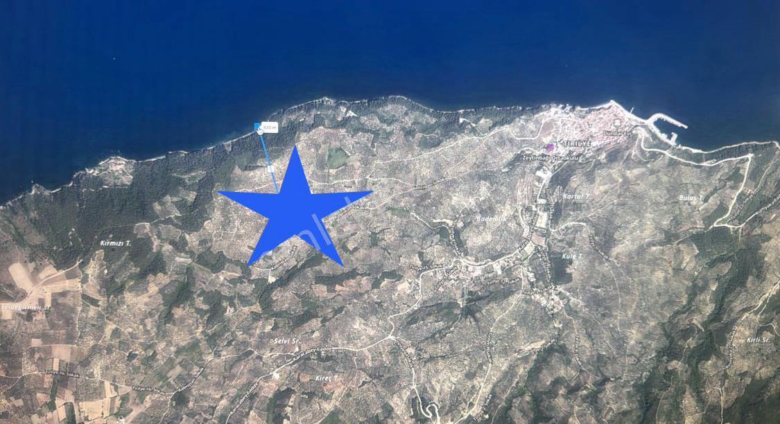 Mudanya Halil Bey Dikboğaz Mevkii 6.900m2 Yatırım İçin Zeytinlik - Görsel 3