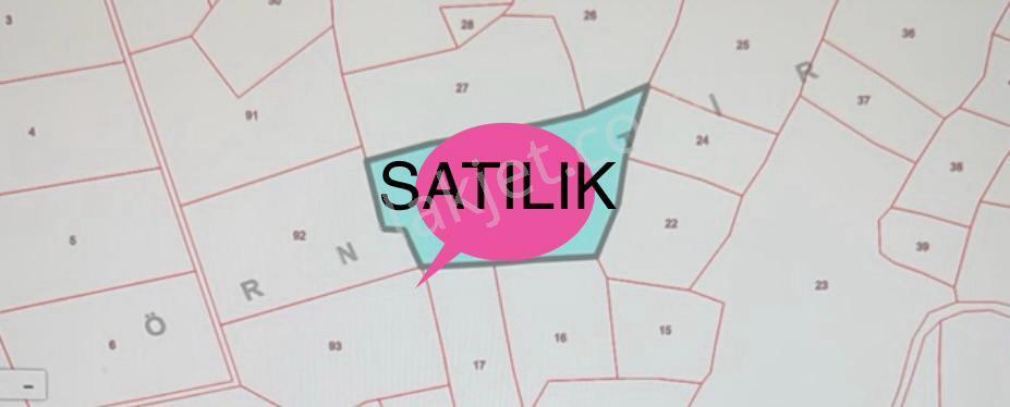 Mudanya Halil Bey Dikboğaz Mevkii 6.900m2 Yatırım İçin Zeytinlik - Görsel 5
