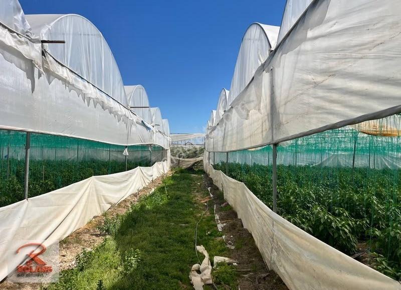 Arazi Alım Kredisine Uygun 7330 M2 Yüksek Sera - Görsel 2