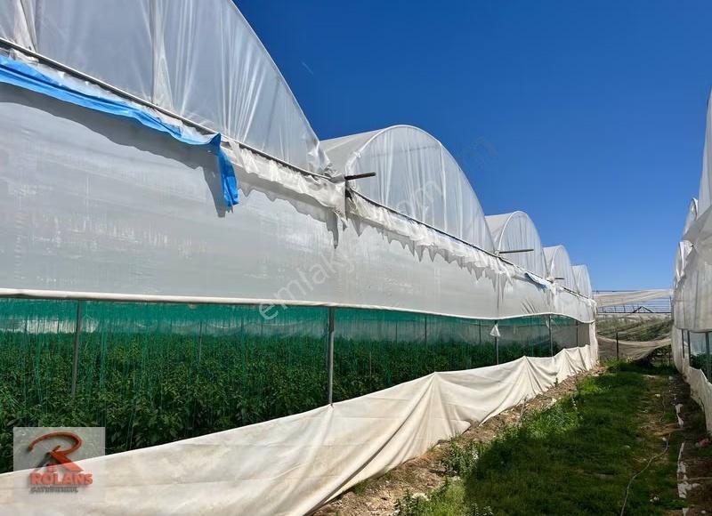 Arazi Alım Kredisine Uygun 7330 M2 Yüksek Sera - Görsel 5