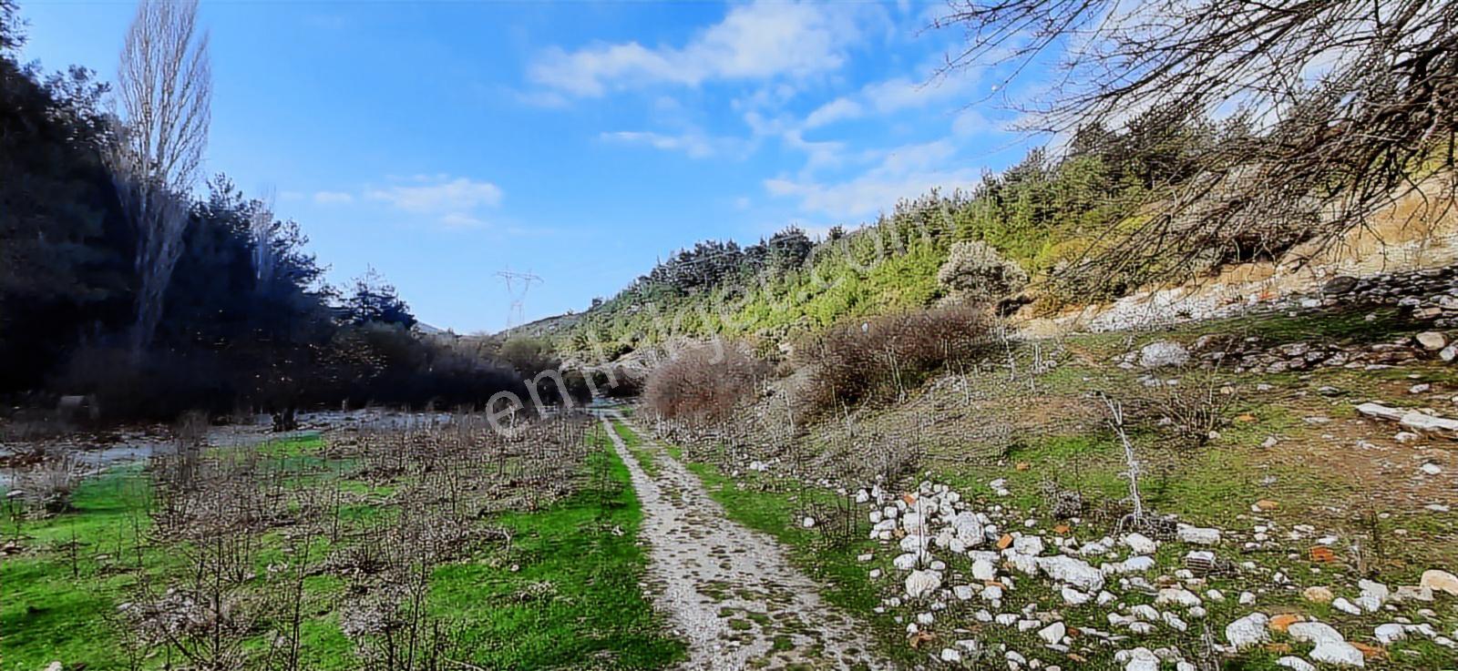 Buca Yıldız Mah Manavur Deresinde 21 Dönüm Kiralık Arazi....... - Görsel 8