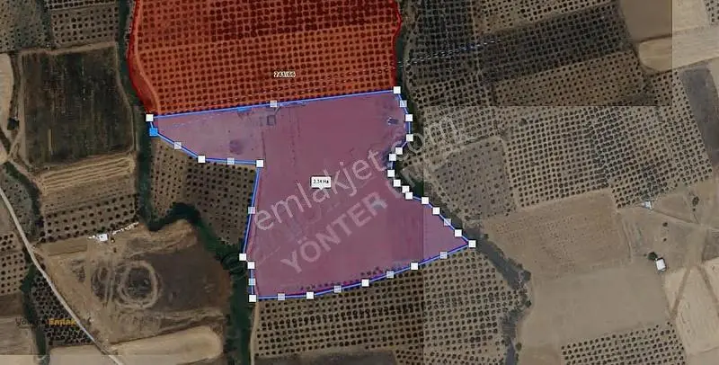 Yönter Emlaktan Derebaşında Satılık 34 Dönüm Kurulu Düzen - Görsel 3