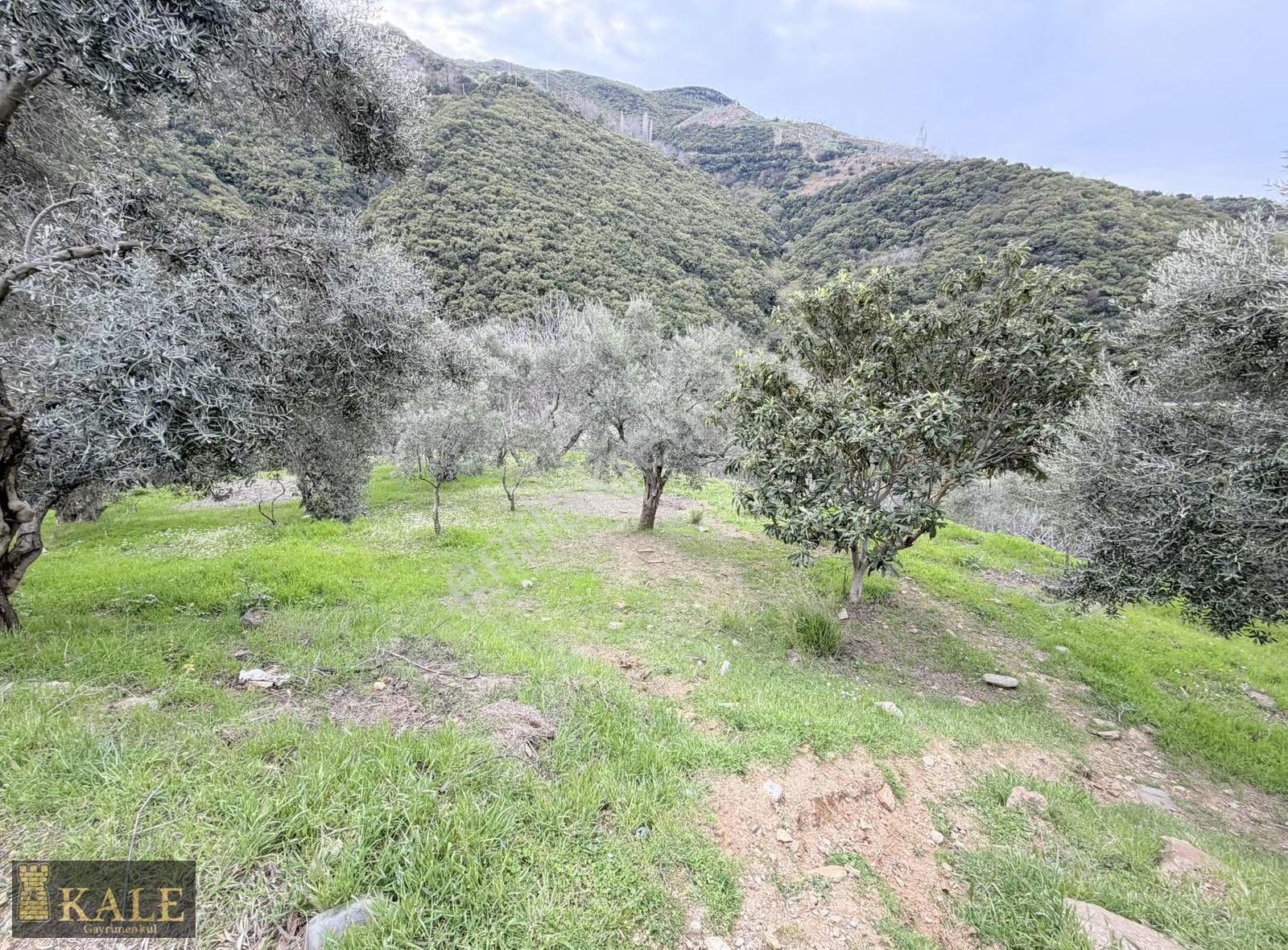 Kale'den Çukurköy'de Manzaralı Emsalsiz Arazi - Görsel 3