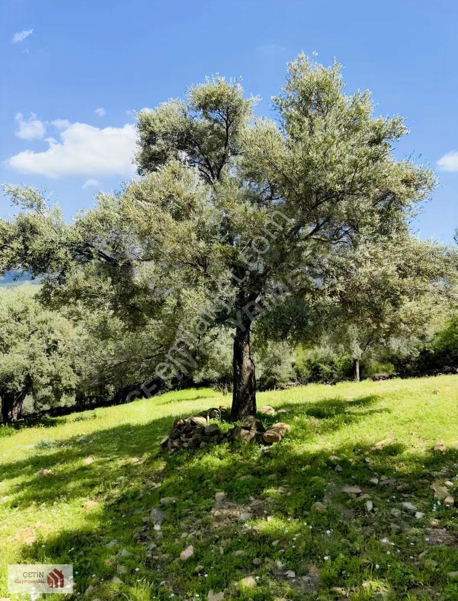 Adrasan 20 Dnm Otel Turizm Alanı - Görsel 13
