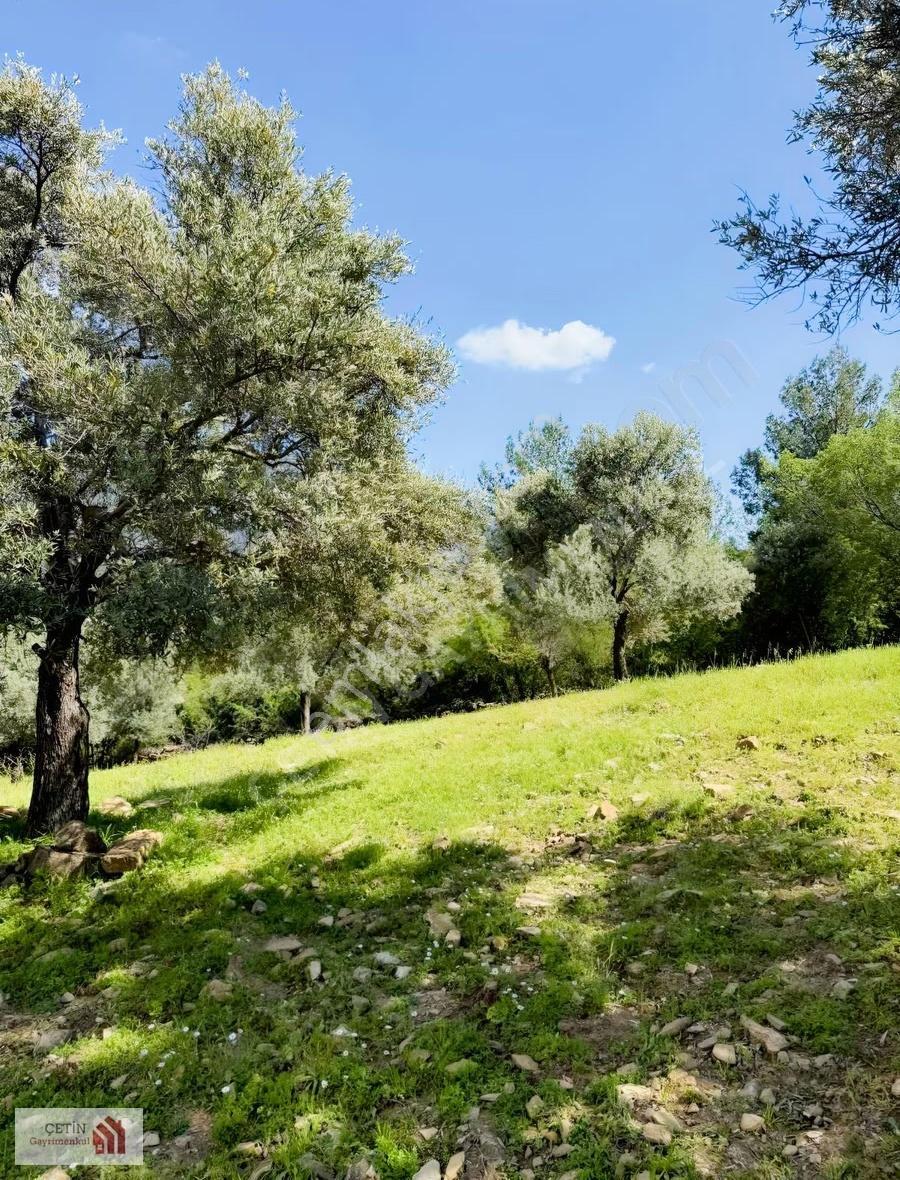 Adrasan 20 Dnm Otel Turizm Alanı - Görsel 12