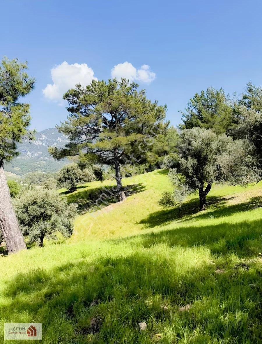 Adrasan 20 Dnm Otel Turizm Alanı