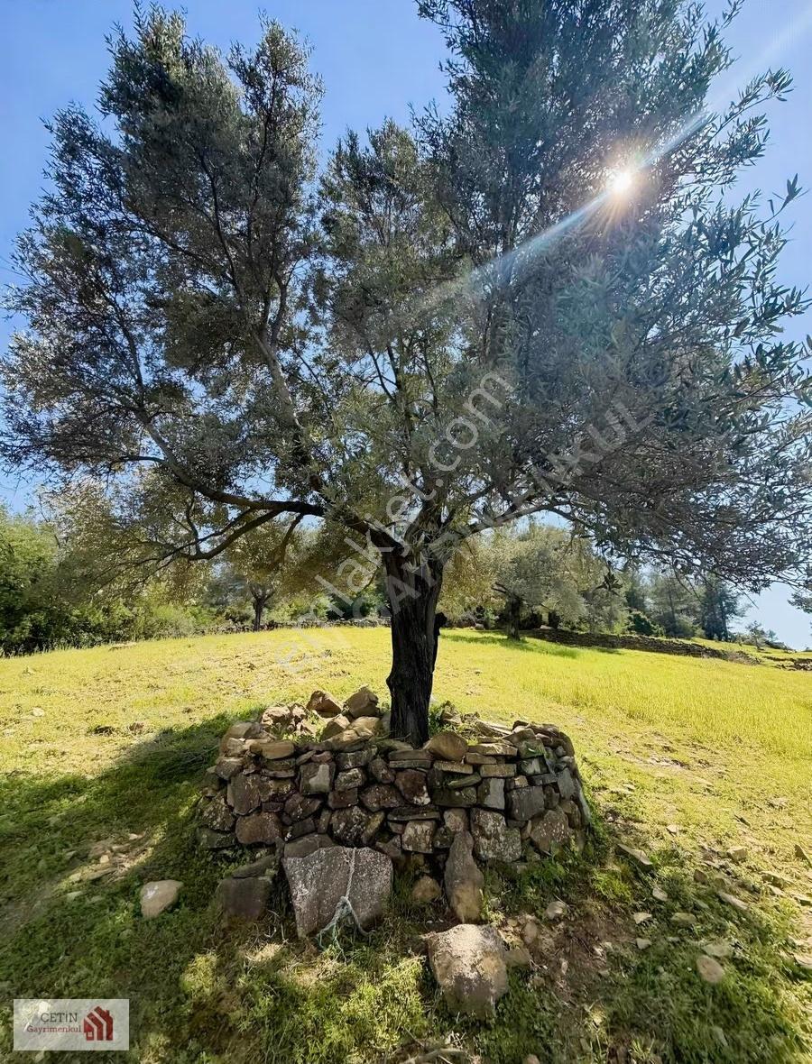 Adrasan 20 Dnm Otel Turizm Alanı - Görsel 14