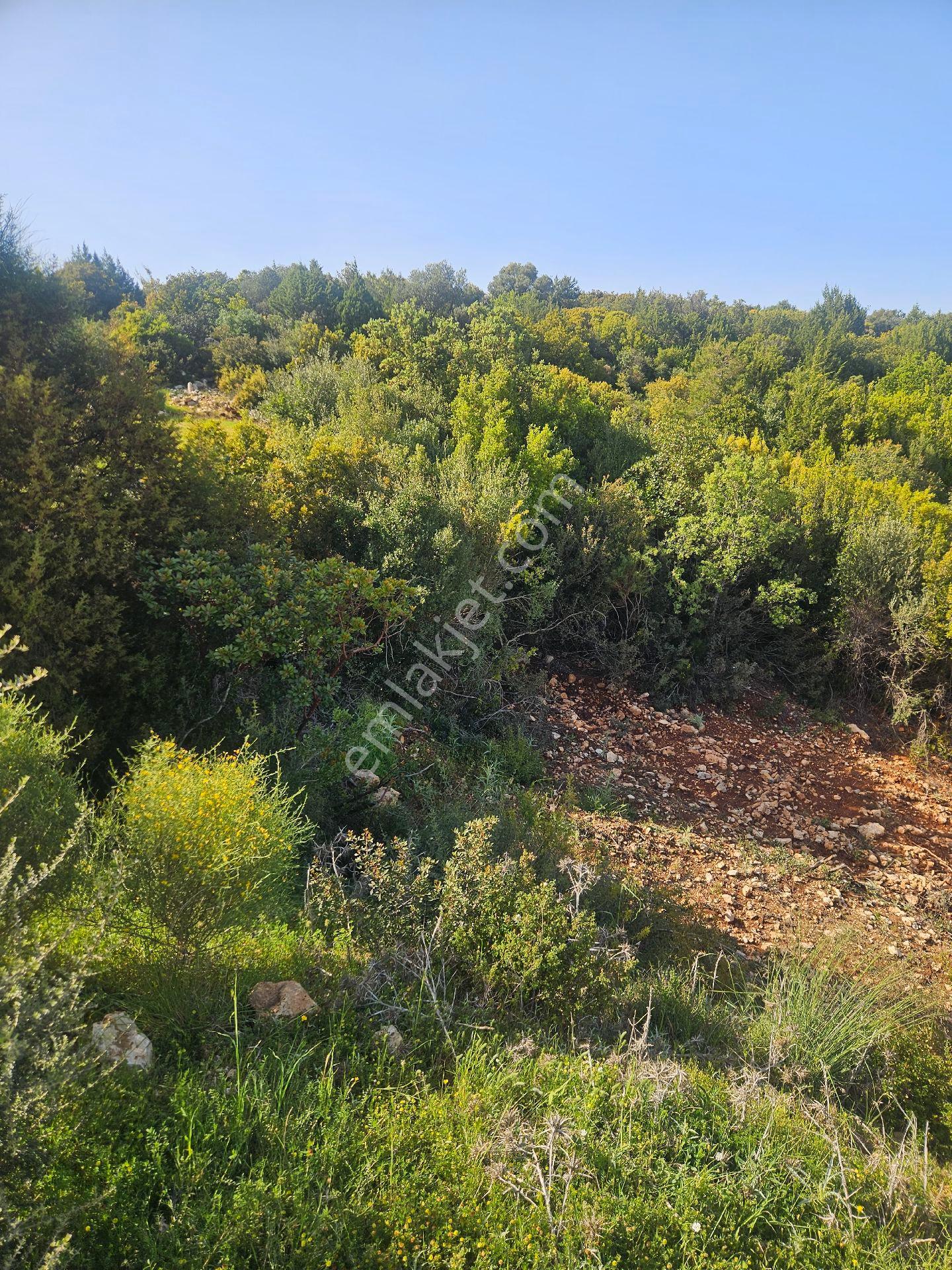 Aydın Didim'de Satılık Vılla - Görsel 6