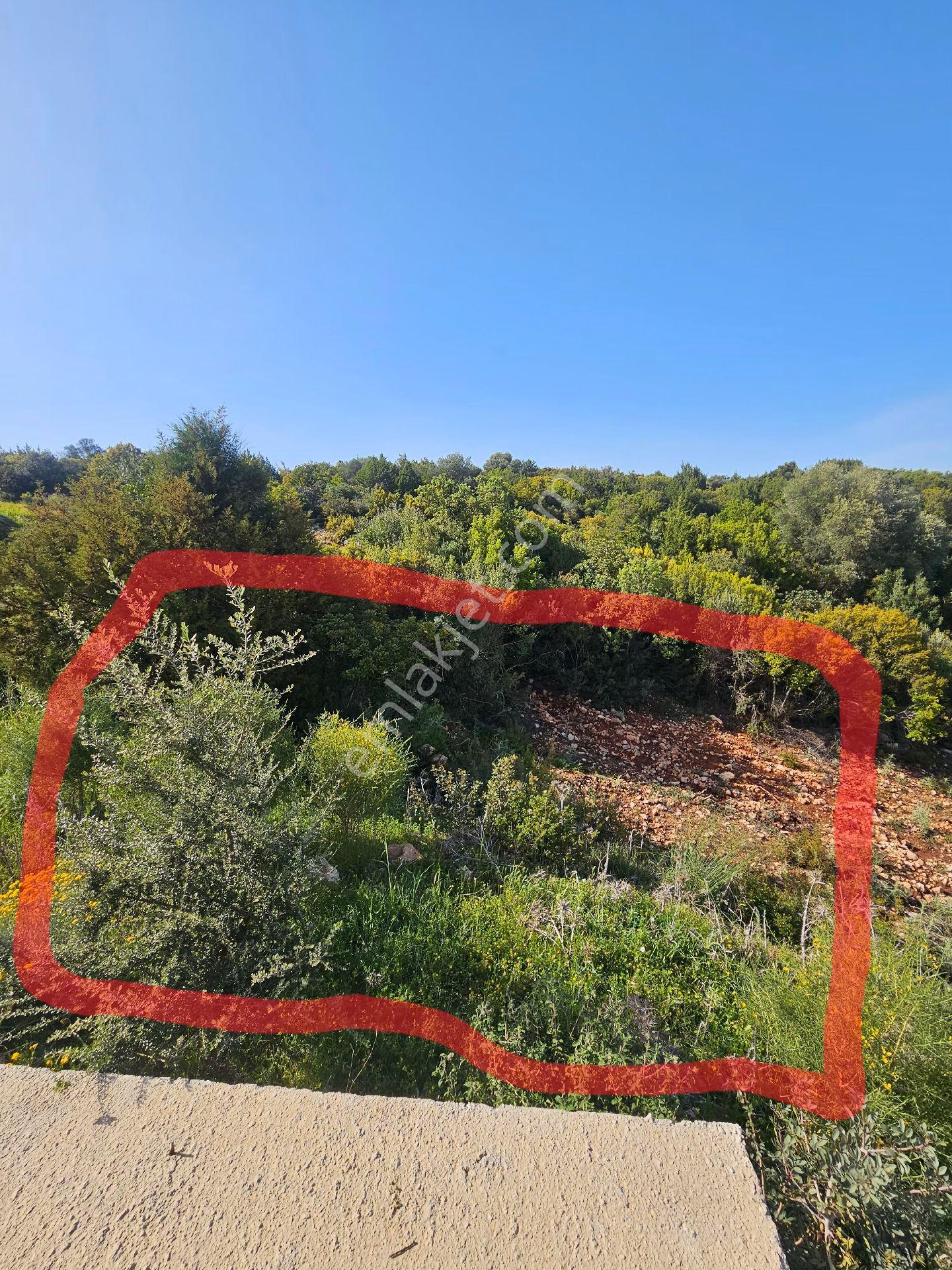 Aydın Didim'de Satılık Vılla - Görsel 5