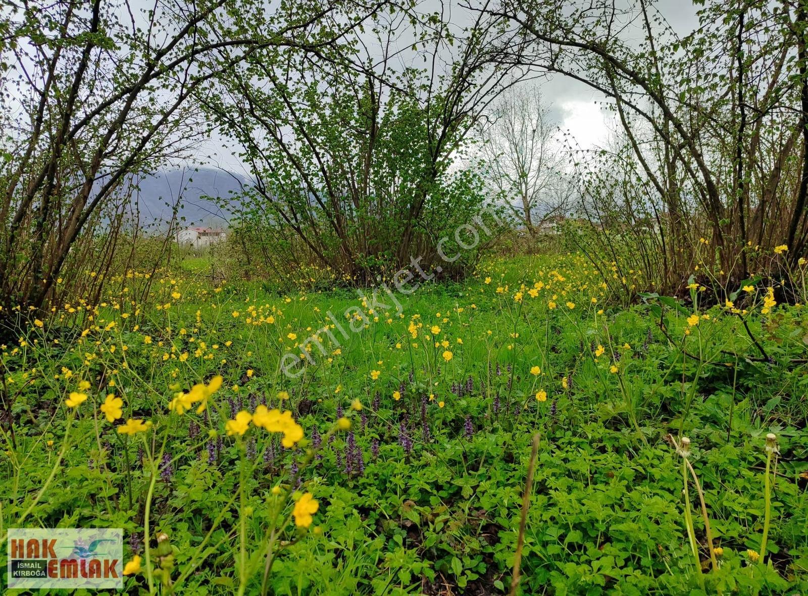 Hak Emlak'tan Gölyaka-esen Mah.de Satılık 458m² Arsa - Görsel 27