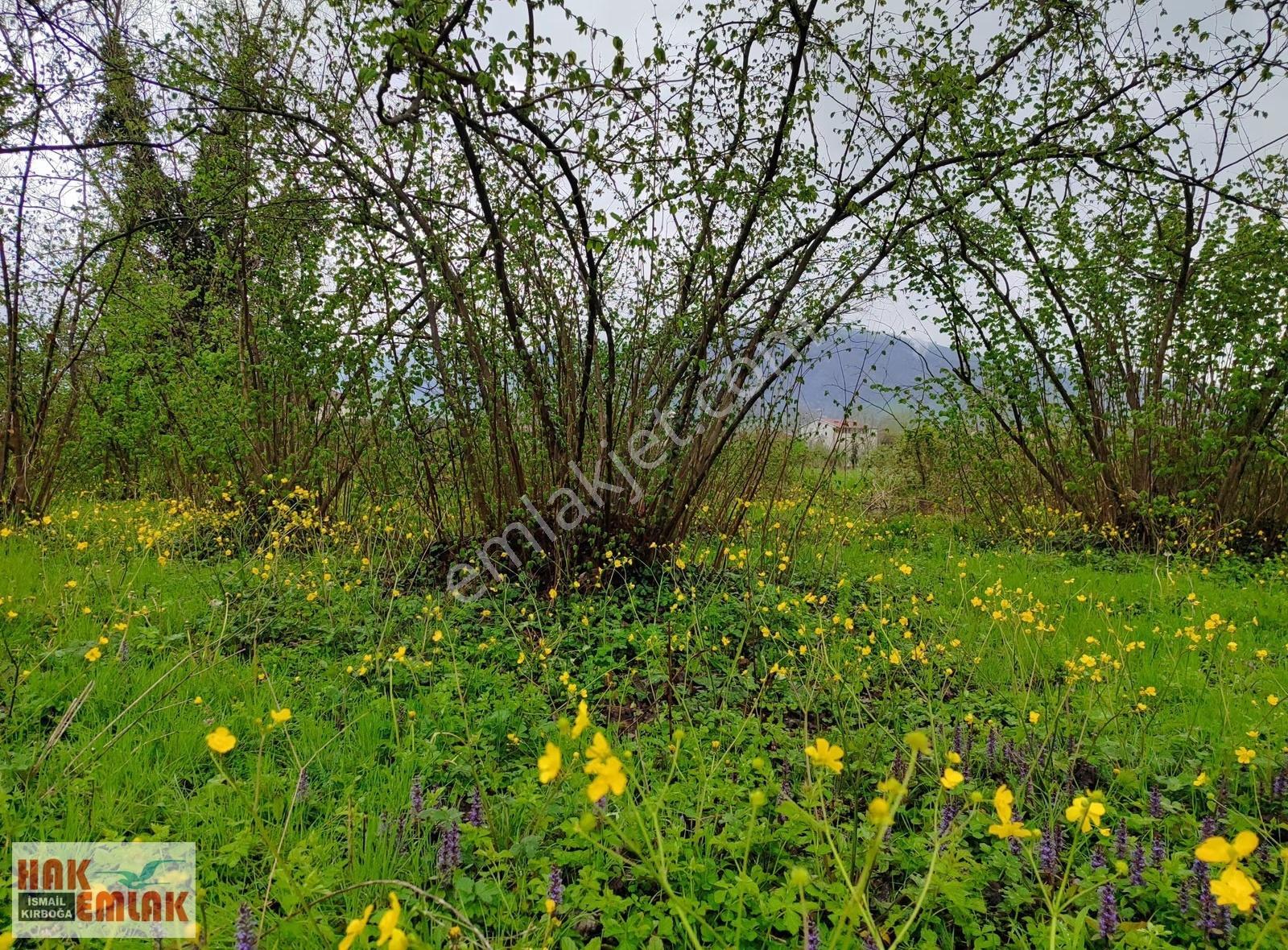 Hak Emlak'tan Gölyaka-esen Mah.de Satılık 458m² Arsa - Görsel 6