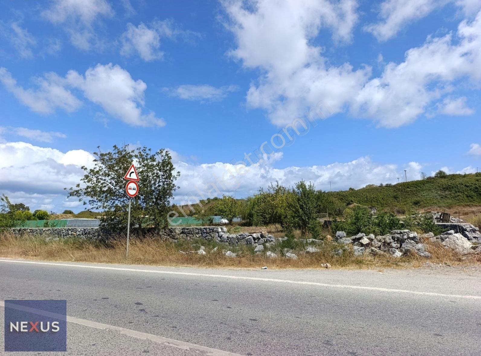 Şile'de Asfalt Yollu Elektrik Ve Suyu Olan Müstakil 4.058m² Arsa - Görsel 12