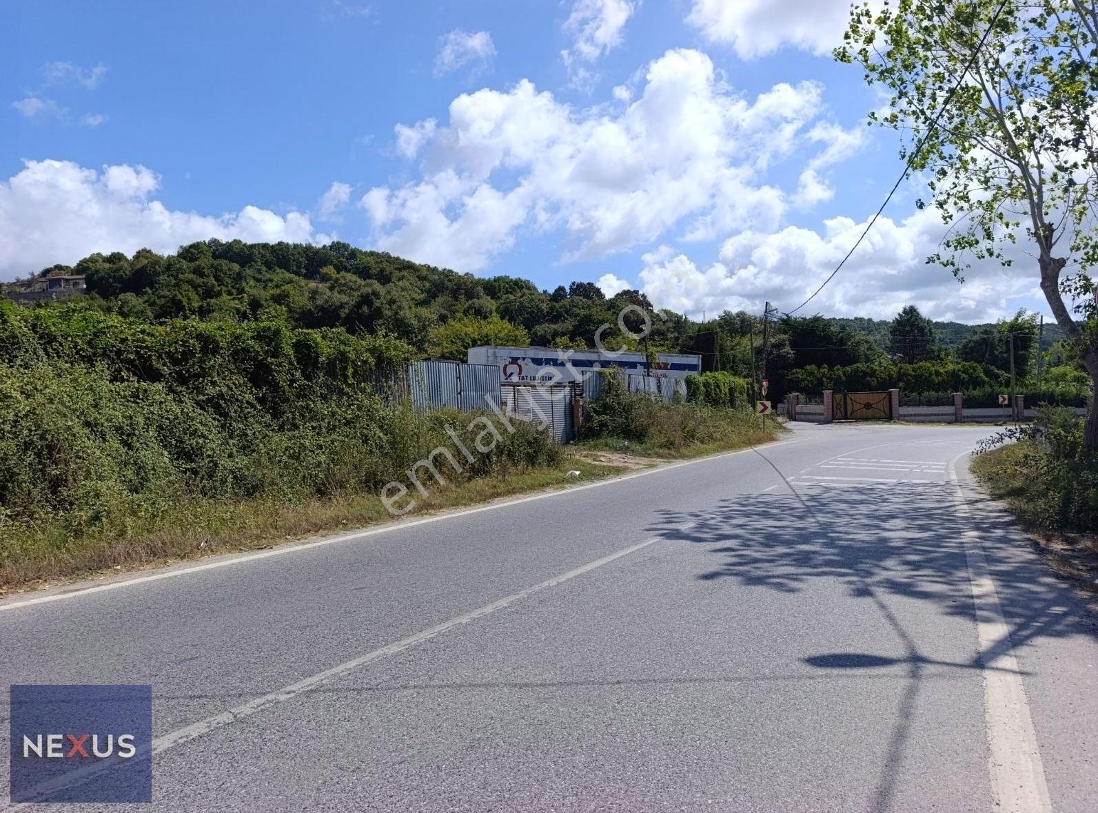 Şile'de Asfalt Yollu Elektrik Ve Suyu Olan Müstakil 4.058m² Arsa - Görsel 16