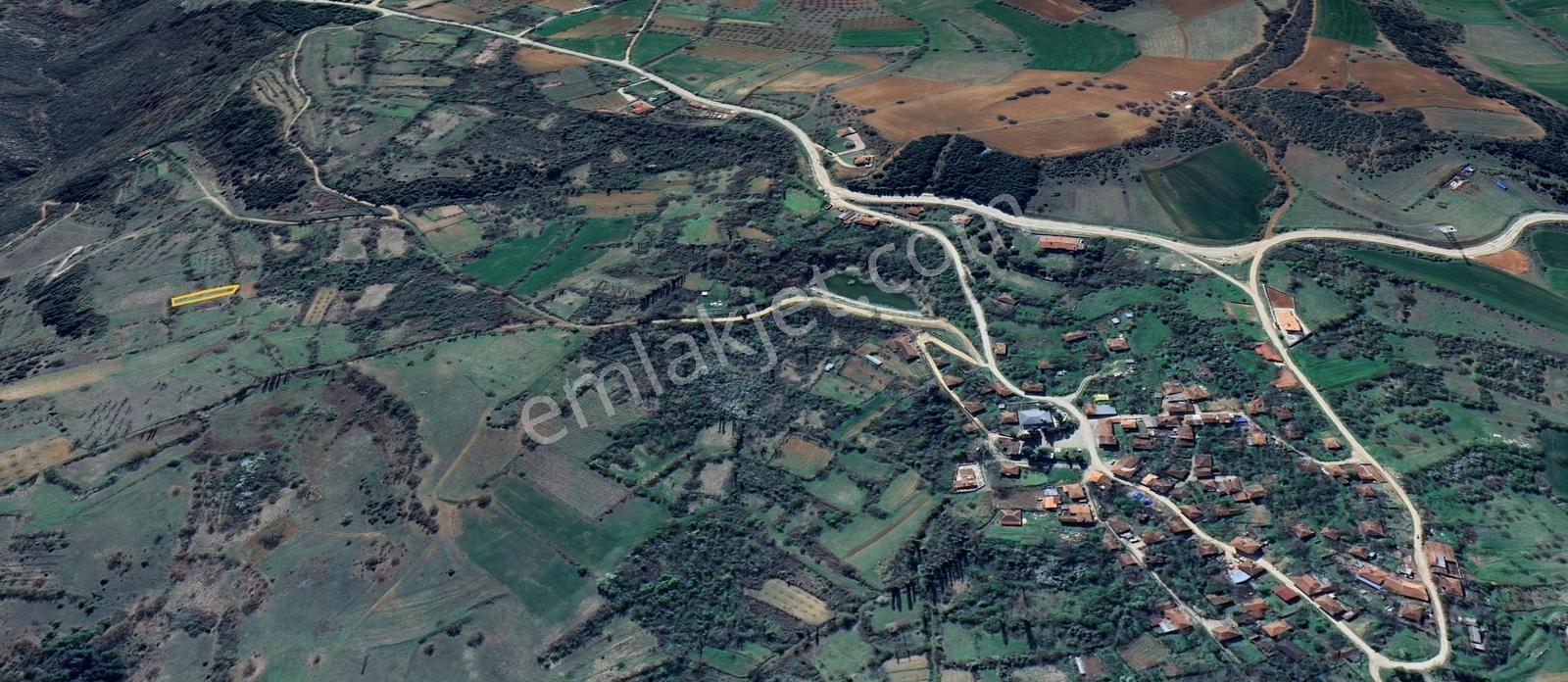 Bilecik İlyasbey'de Yatırımlık Fırsat: Doğayla İç İçe 504 M² - Görsel 3