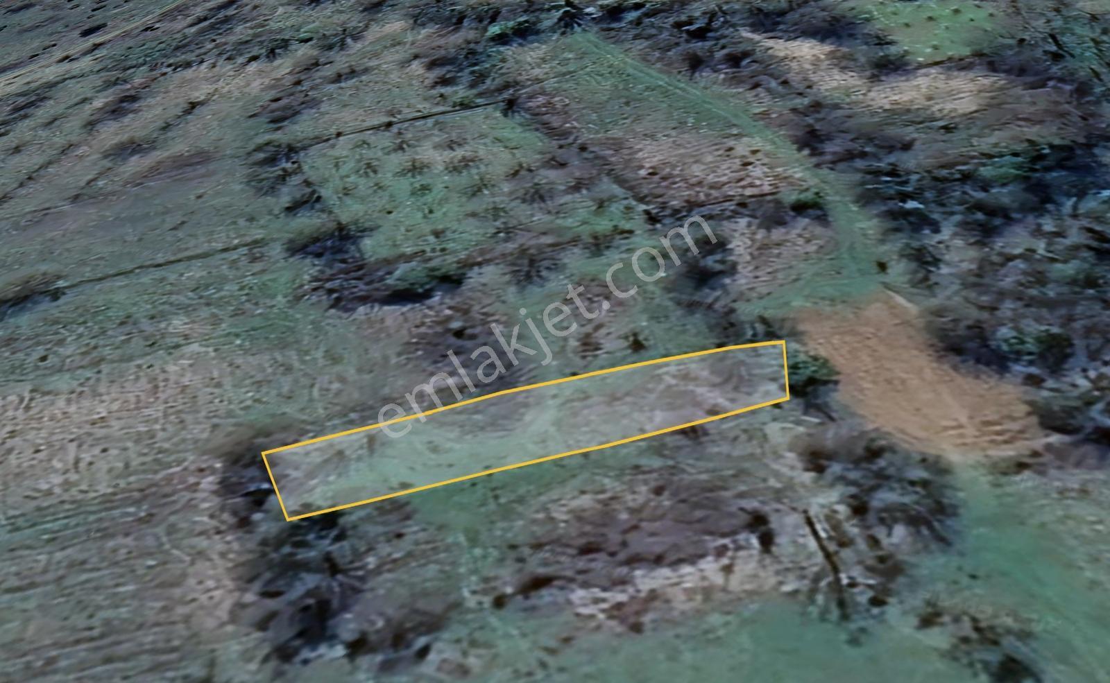 Bilecik İlyasbey'de Yatırımlık Fırsat: Doğayla İç İçe 504 M²