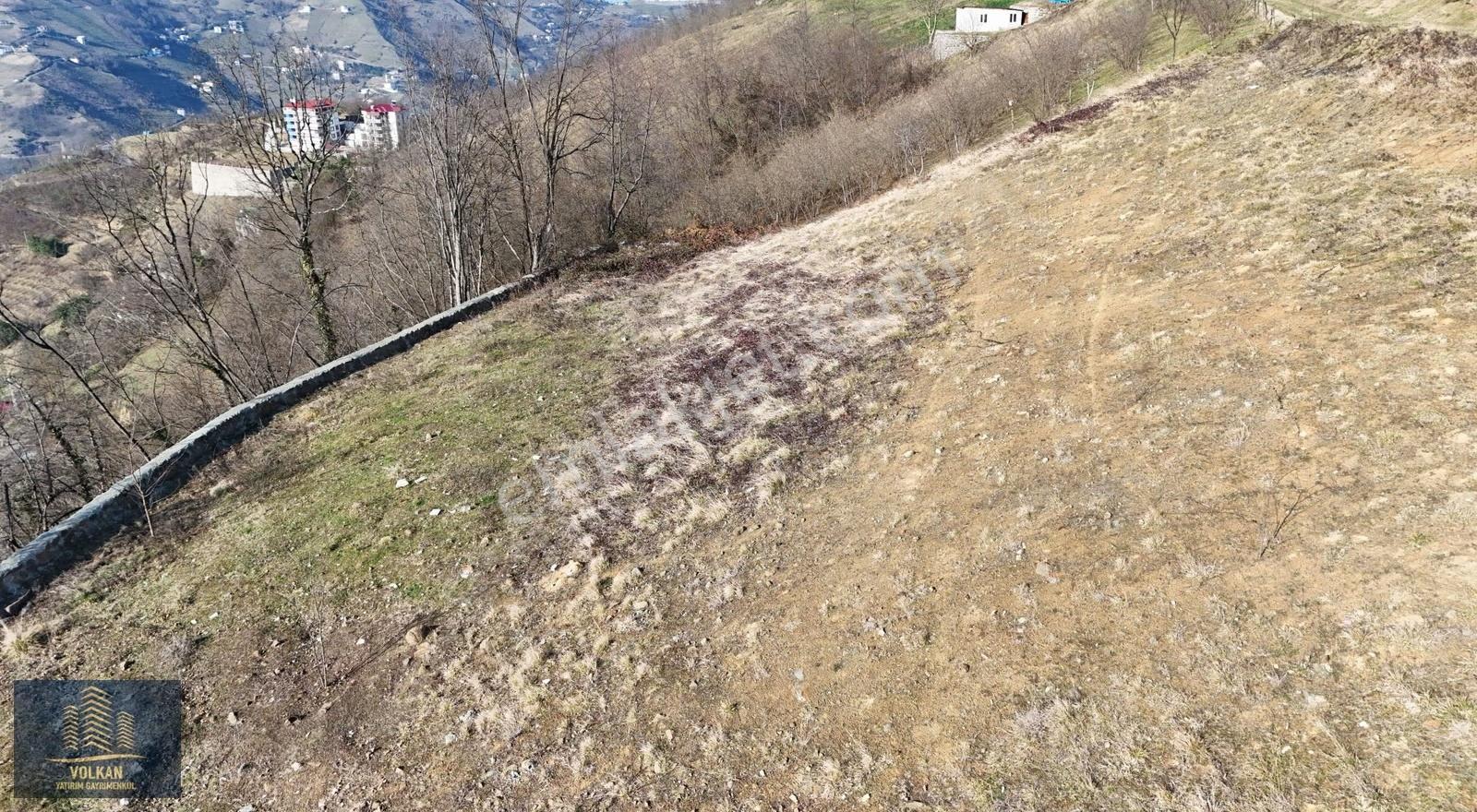 Akçaabat Derecik Mahallesinde Satılık Taş Duvarı Bitmiş Arsa - Görsel 19