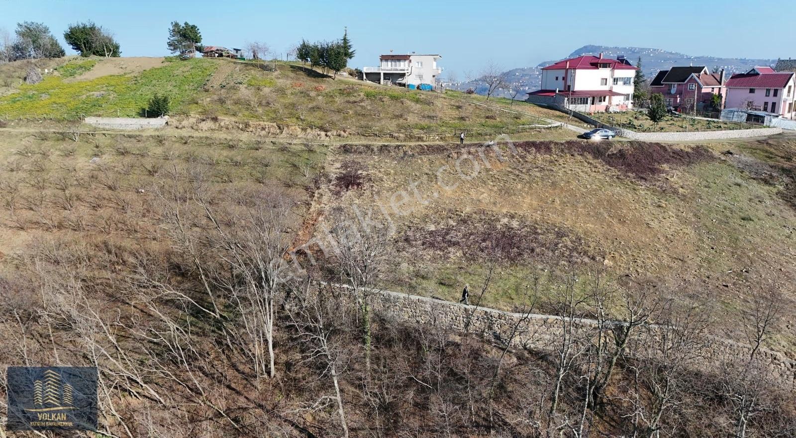 Akçaabat Derecik Mahallesinde Satılık Taş Duvarı Bitmiş Arsa - Görsel 4
