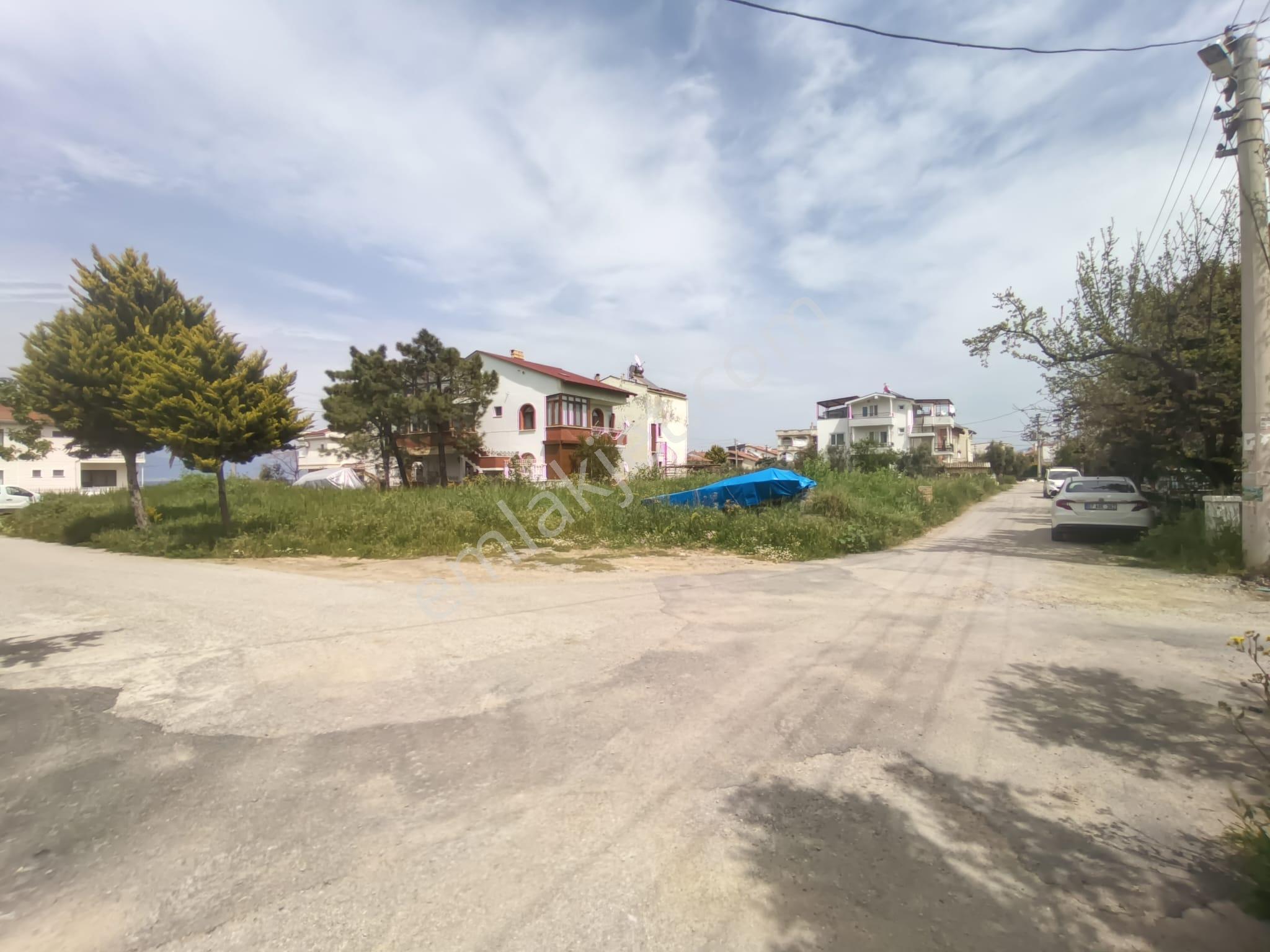 Golden Globy, Burhaniye İskele'de Denize 60 Metre Mesafede Köşe Parsel Satılık 284 M2 Tarla - Görsel 16