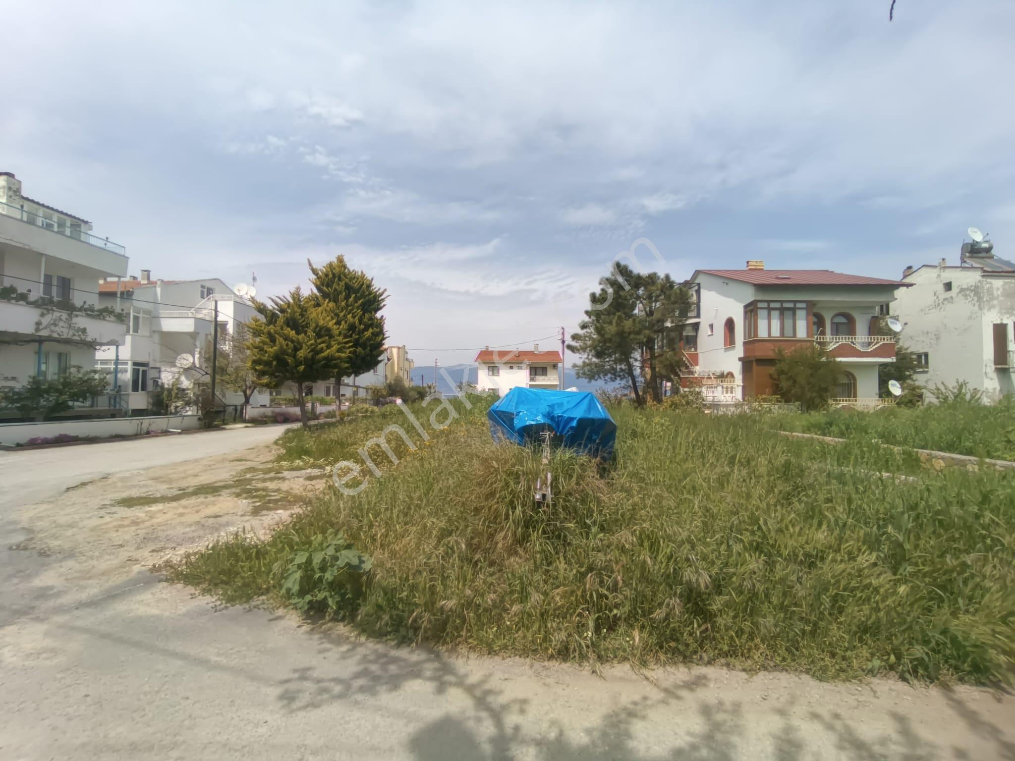 Golden Globy, Burhaniye İskele'de Denize 60 Metre Mesafede Köşe Parsel Satılık 284 M2 Tarla - Görsel 15