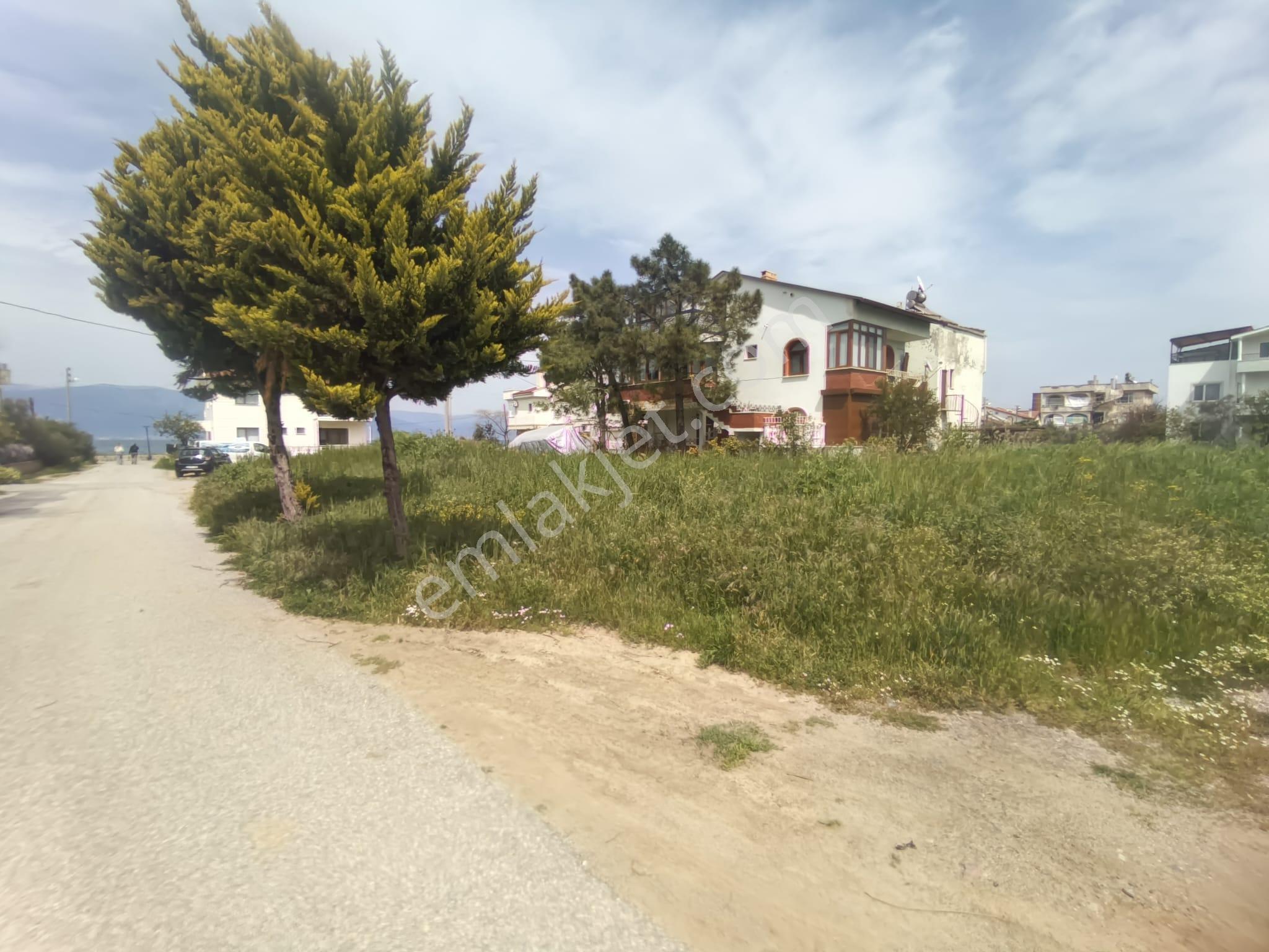 Golden Globy, Burhaniye İskele'de Denize 60 Metre Mesafede Köşe Parsel Satılık 284 M2 Tarla - Görsel 18