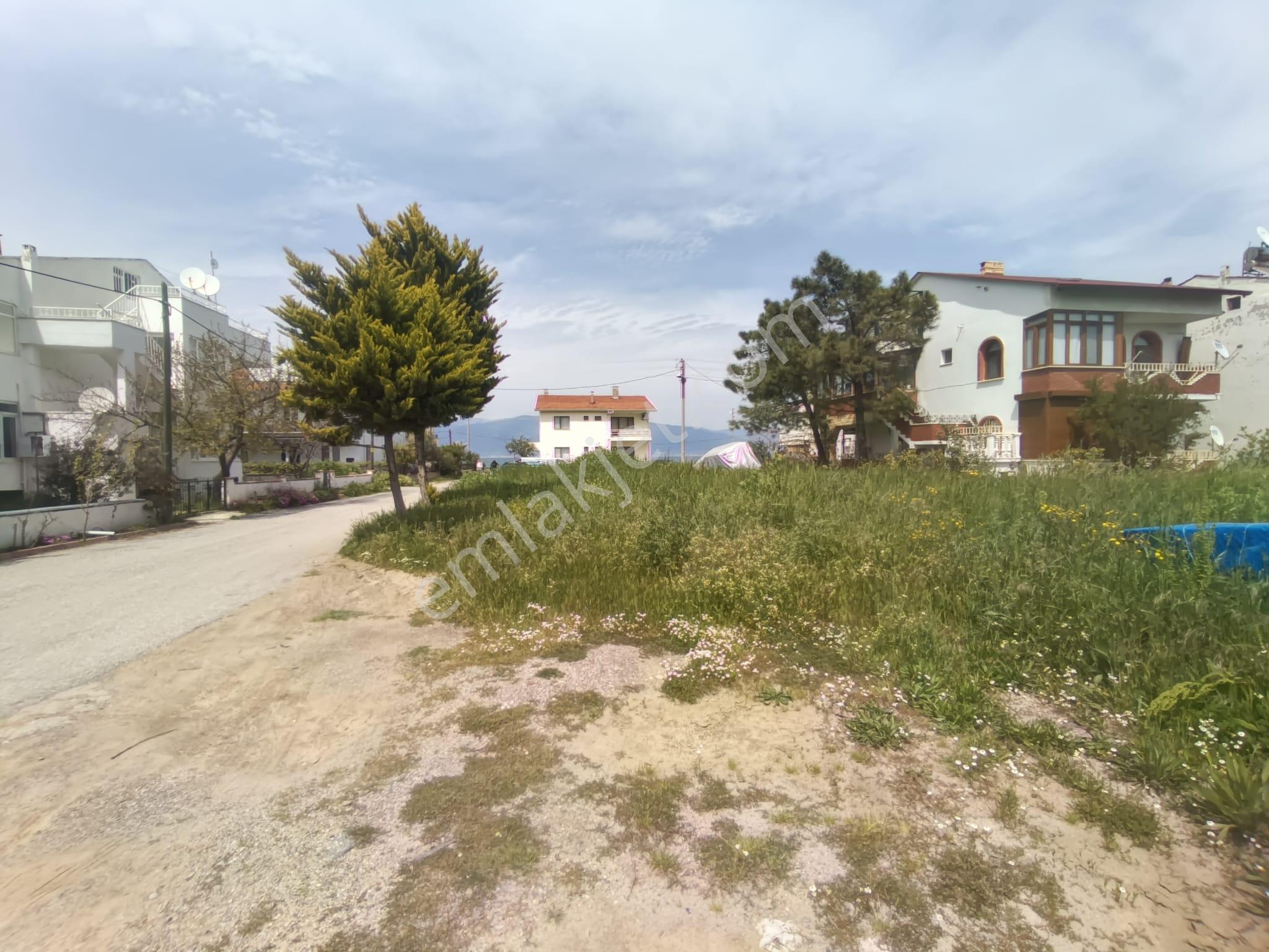 Golden Globy, Burhaniye İskele'de Denize 60 Metre Mesafede Köşe Parsel Satılık 284 M2 Tarla - Görsel 13