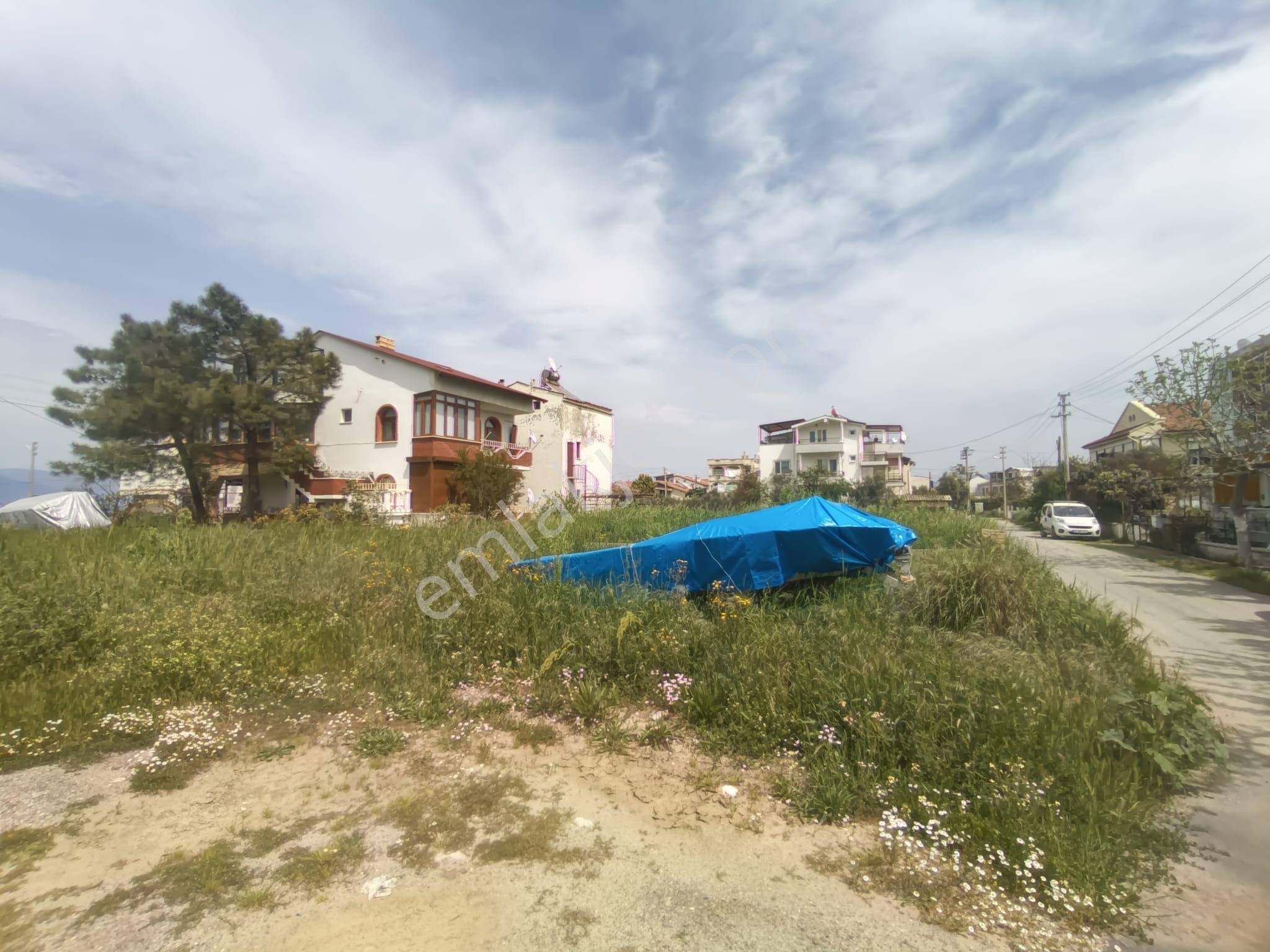 Golden Globy, Burhaniye İskele'de Denize 60 Metre Mesafede Köşe Parsel Satılık 284 M2 Tarla - Görsel 12