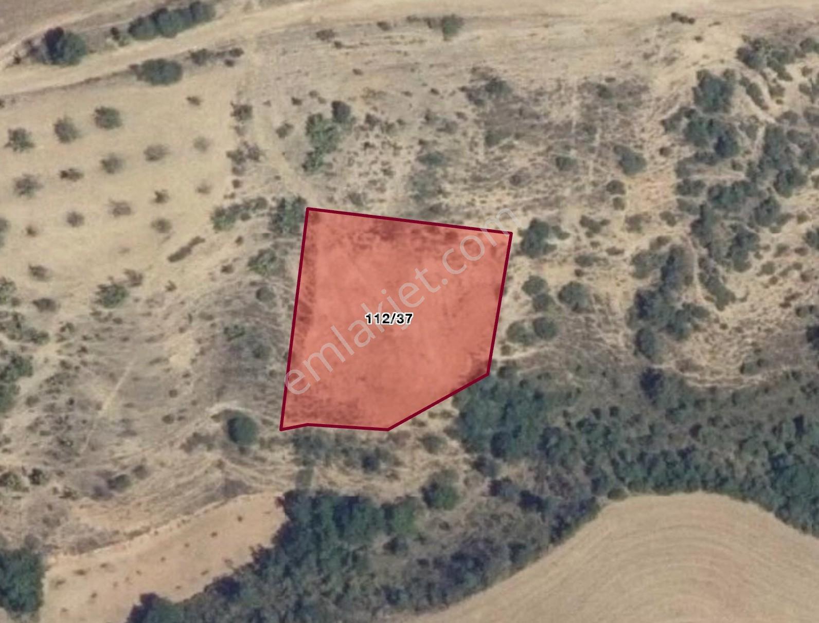Bursa Yenişehir Çelebide Yatırımlık 1.948 M² Müstakil Bağ