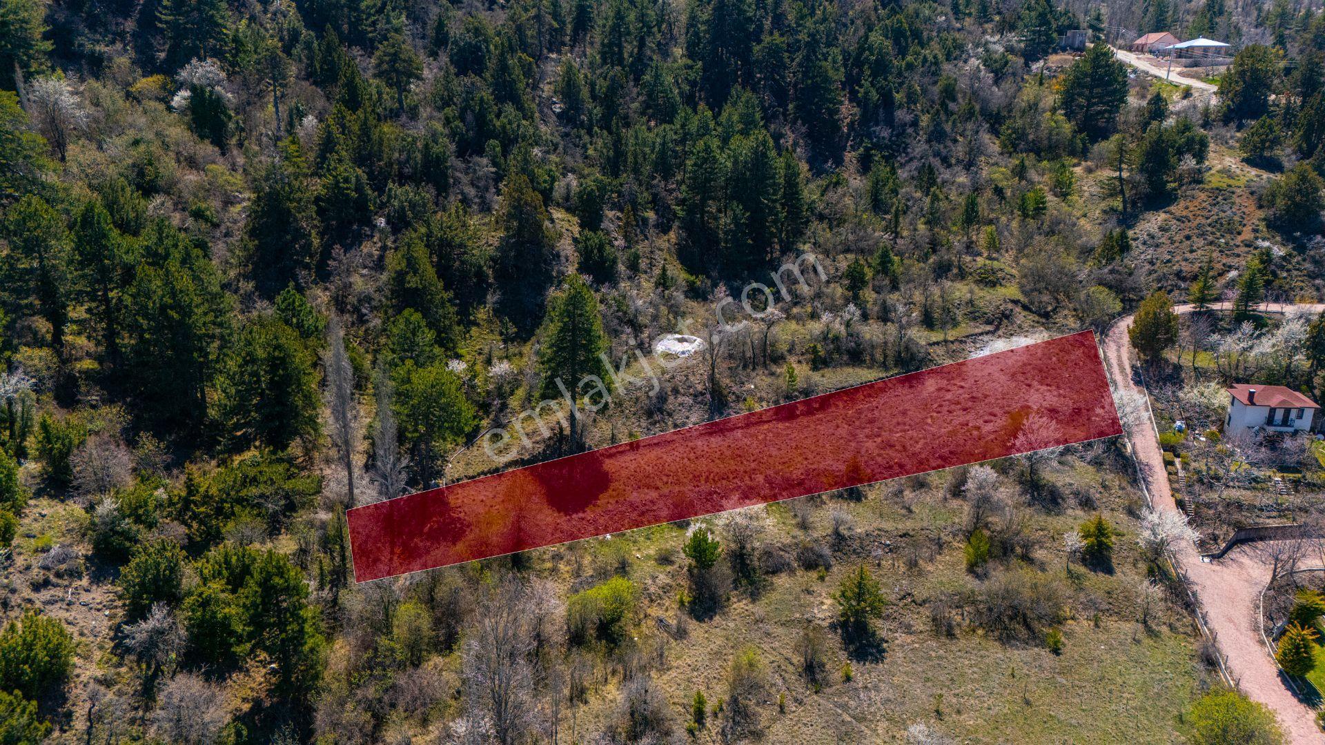 Konyaaltı Geyikbayır 1.537 M2 Satılık Tarla - Görsel 26