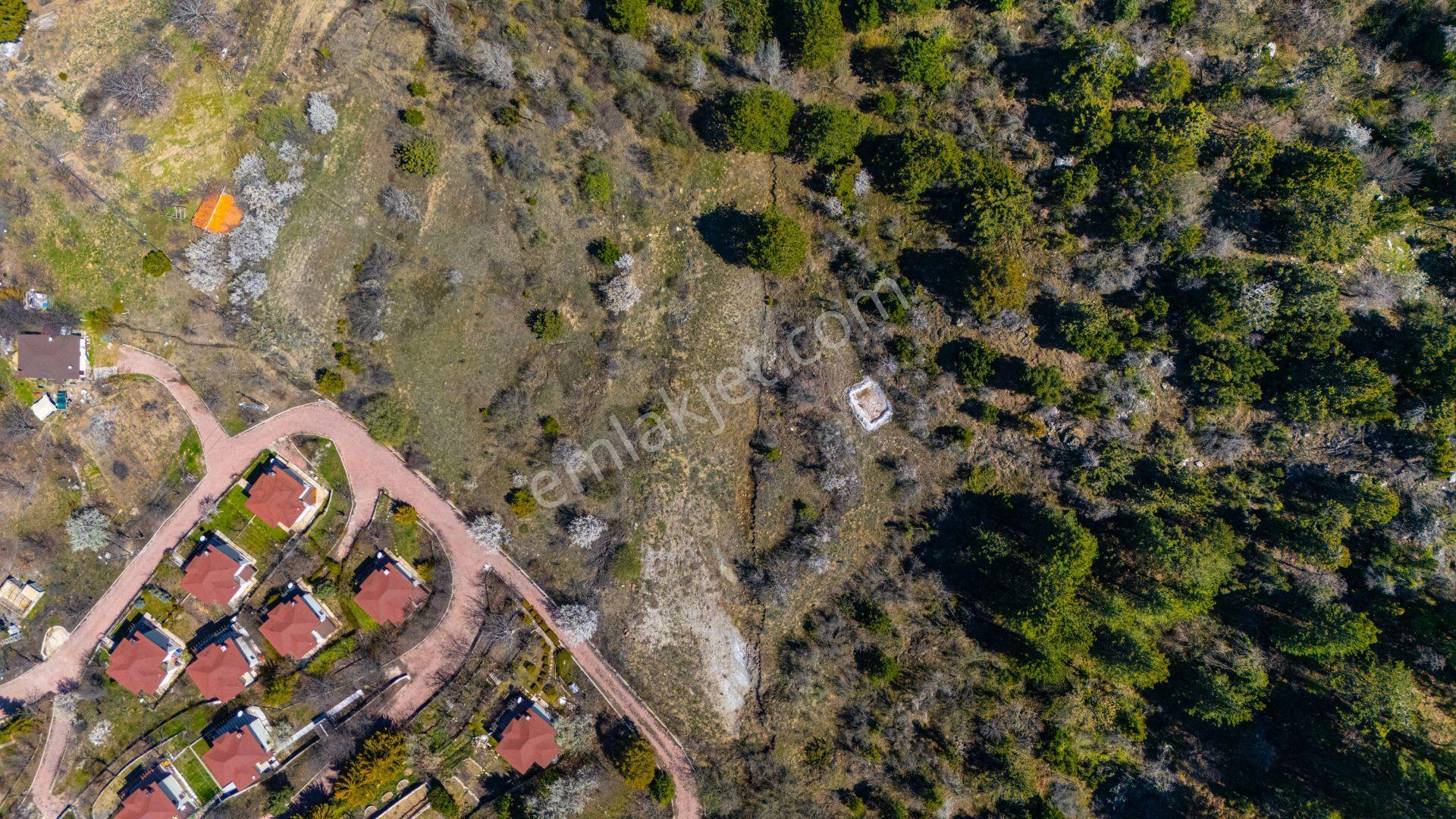 Konyaaltı Geyikbayır 1.537 M2 Satılık Tarla