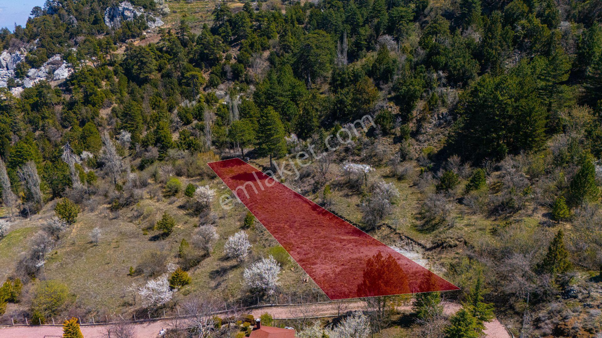 Konyaaltı Geyikbayır 1.537 M2 Satılık Tarla - Görsel 23