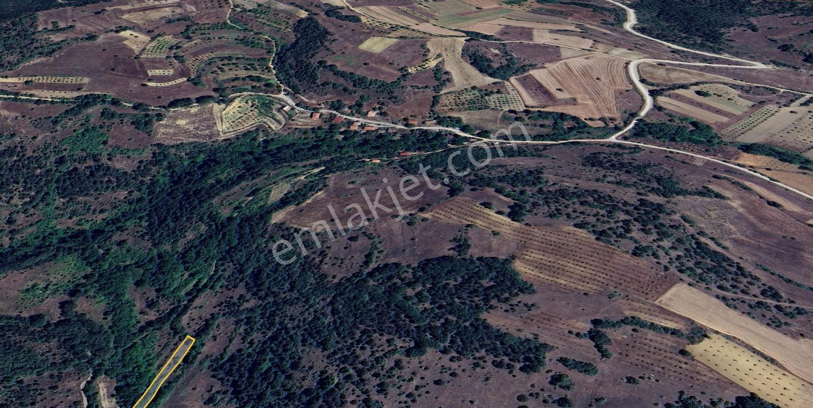 Bilecik Gölpazarı Yatırımlık & Hobiye Uygun 1.056 M² Bahçe - Görsel 8