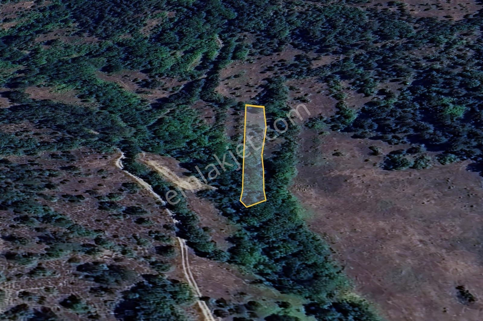 Bilecik Gölpazarı Yatırımlık & Hobiye Uygun 1.056 M² Bahçe - Görsel 4