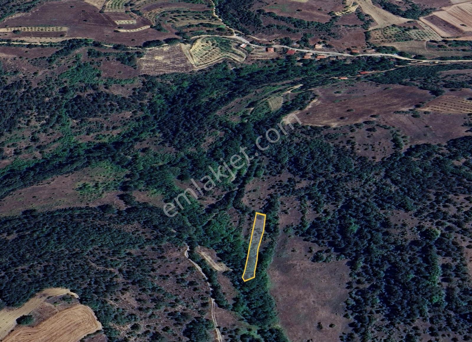 Bilecik Gölpazarı Yatırımlık & Hobiye Uygun 1.056 M² Bahçe - Görsel 5