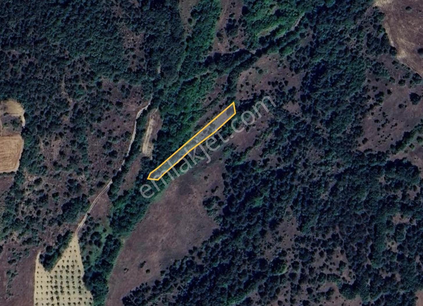 Bilecik Gölpazarı Yatırımlık & Hobiye Uygun 1.056 M² Bahçe - Görsel 3