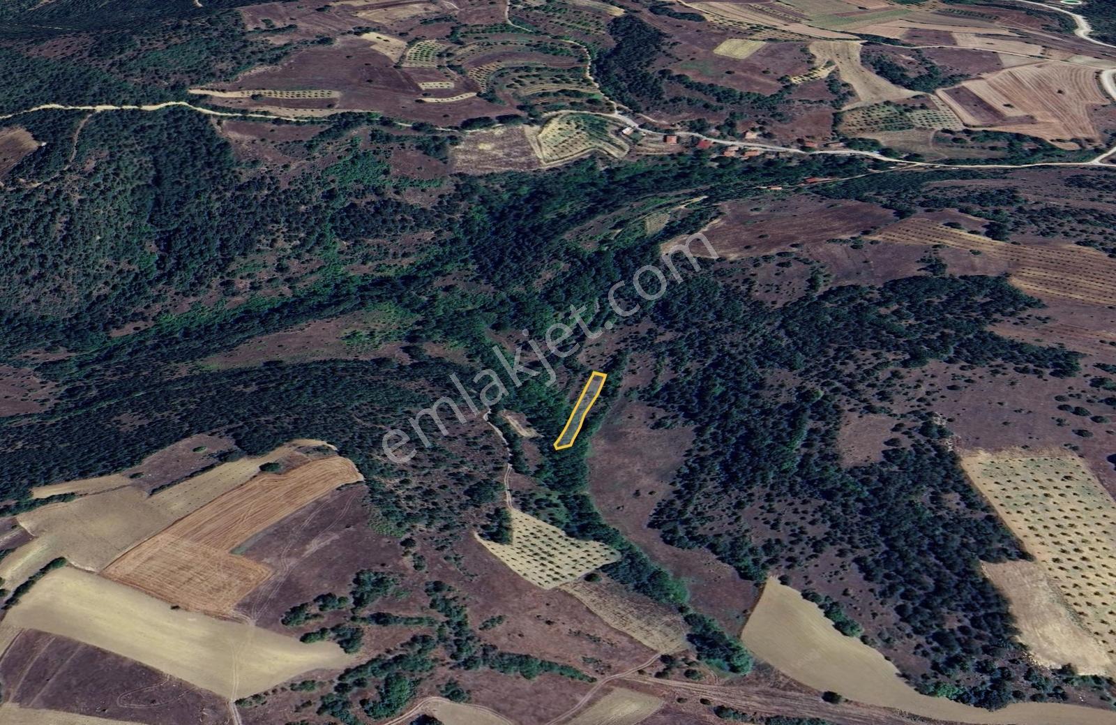 Bilecik Gölpazarı Yatırımlık & Hobiye Uygun 1.056 M² Bahçe - Görsel 11