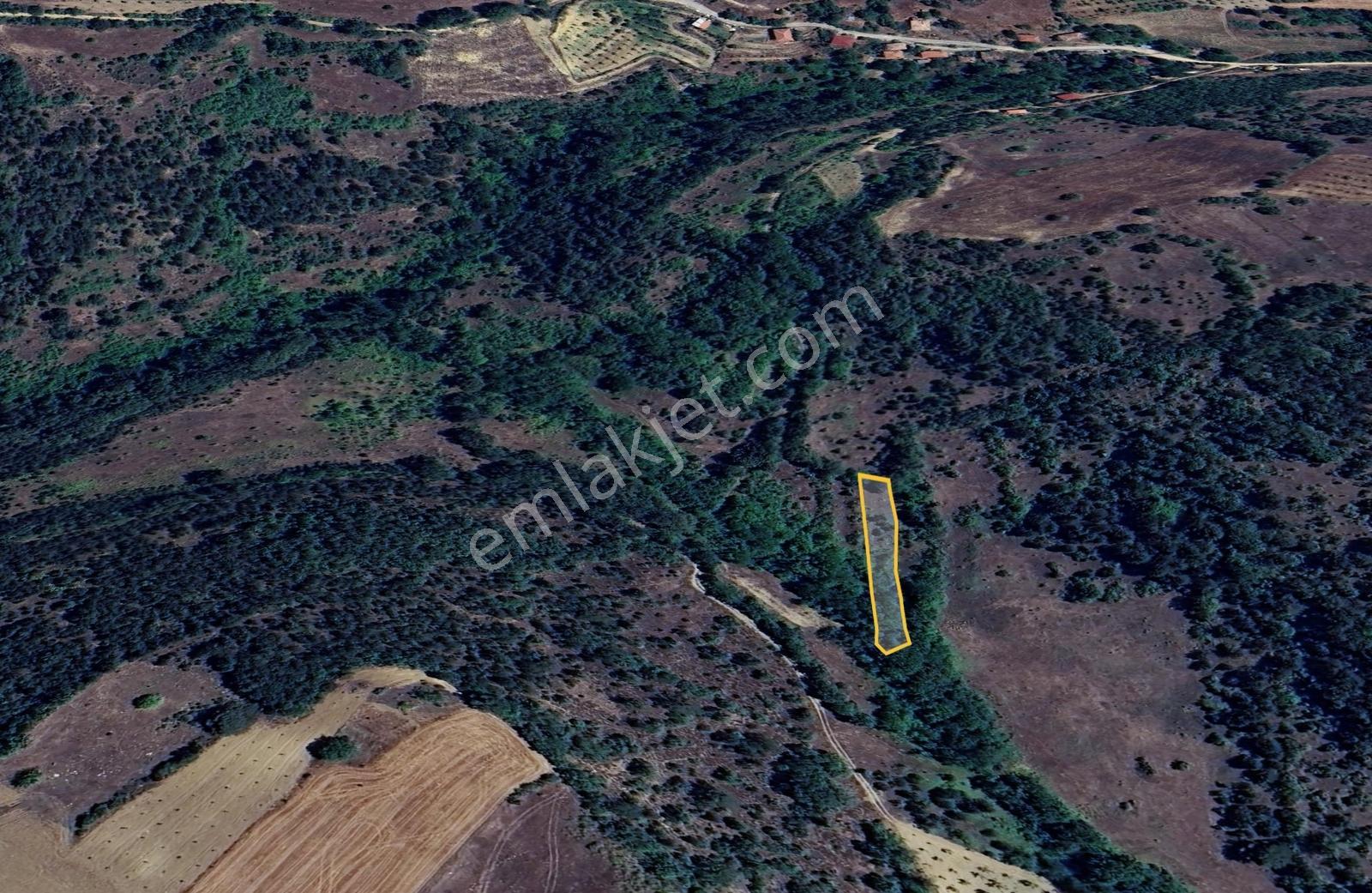 Bilecik Gölpazarı Yatırımlık & Hobiye Uygun 1.056 M² Bahçe - Görsel 7
