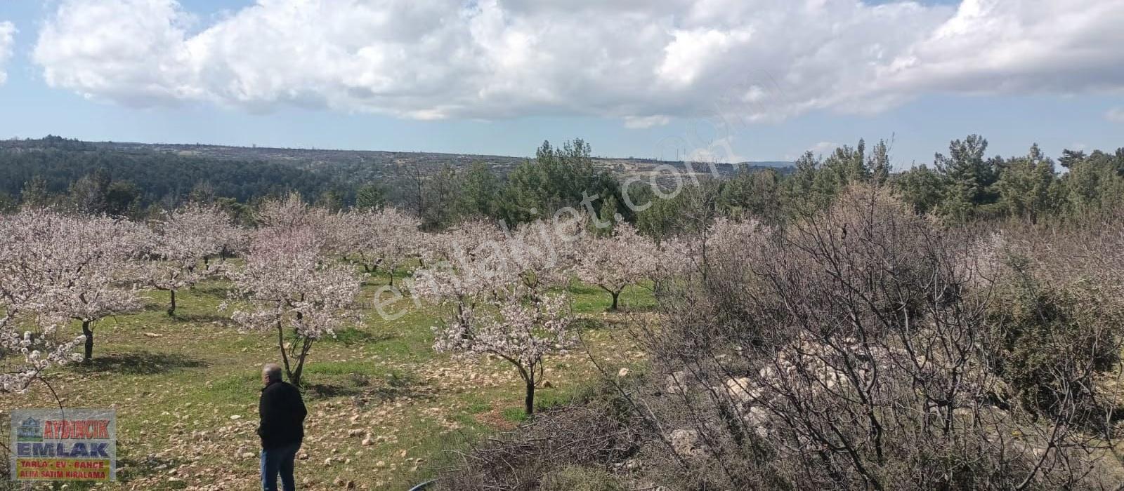 Aydıncık Emlaktan Satılık Bahçe Ve Ev - Görsel 15