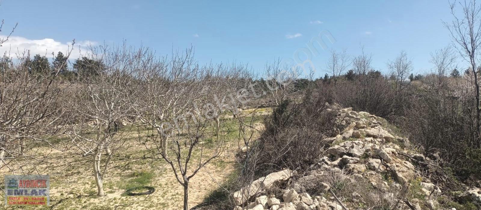 Aydıncık Emlaktan Satılık Bahçe Ve Ev - Görsel 5