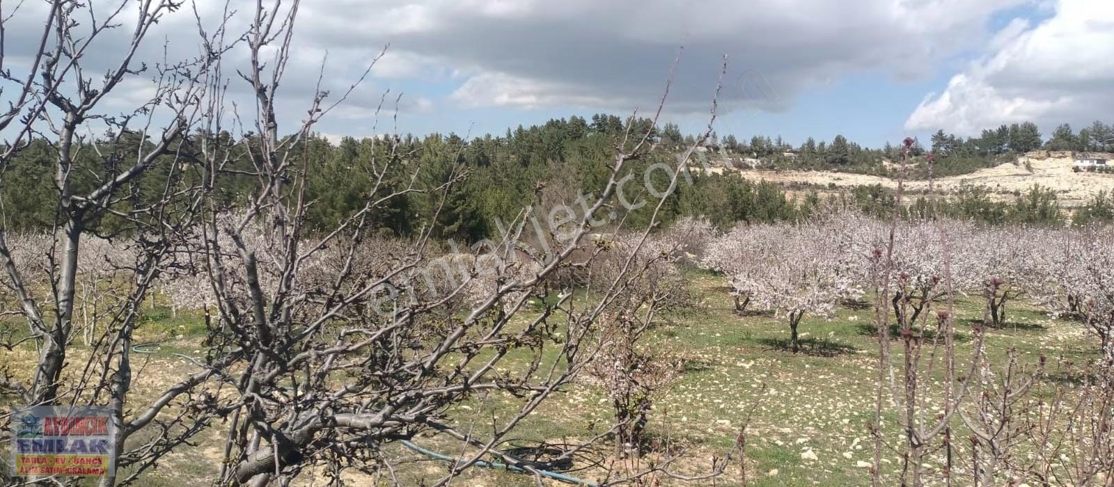 Aydıncık Emlaktan Satılık Bahçe Ve Ev - Görsel 31