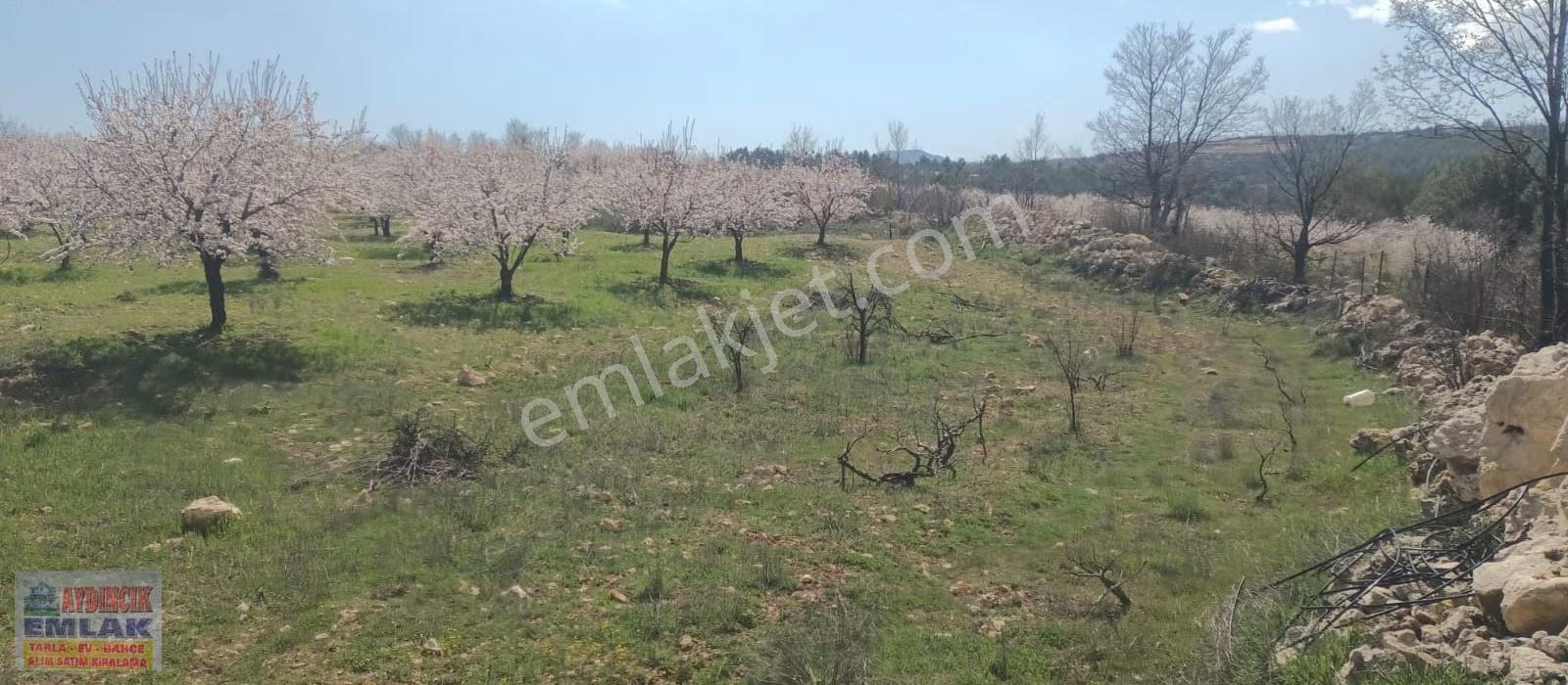 Aydıncık Emlaktan Satılık Bahçe Ve Ev - Görsel 4
