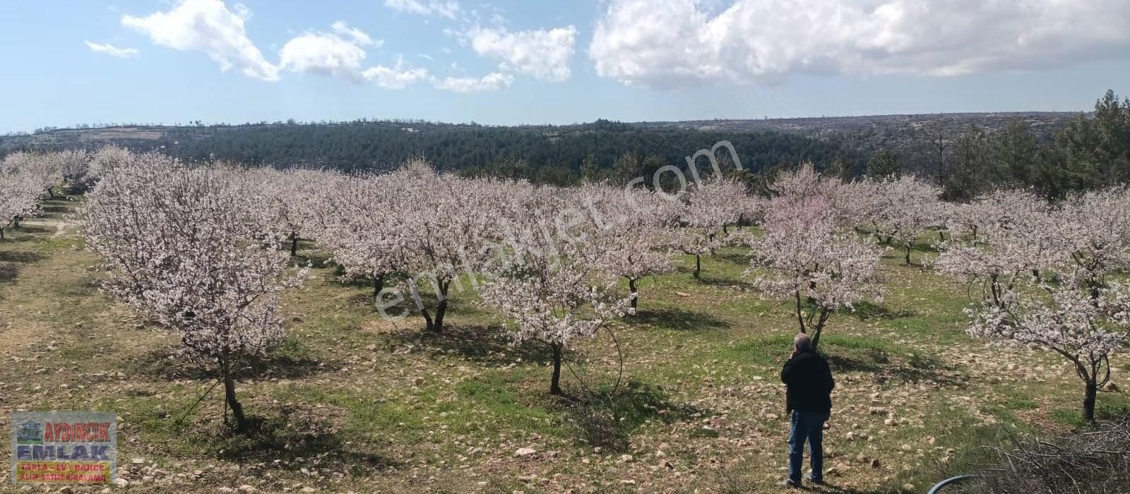 Aydıncık Emlaktan Satılık Bahçe Ve Ev - Görsel 27