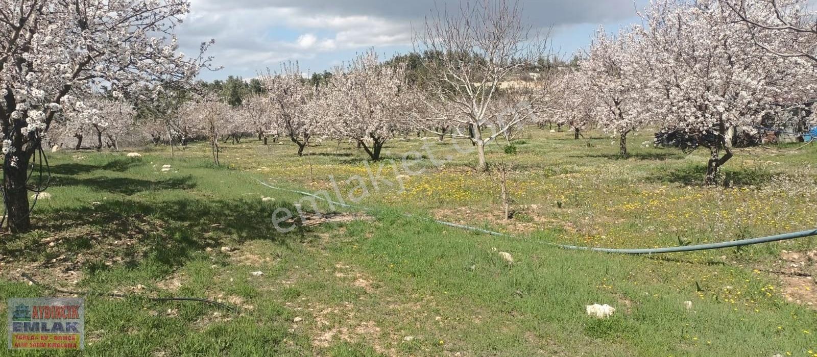Aydıncık Emlaktan Satılık Bahçe Ve Ev - Görsel 22