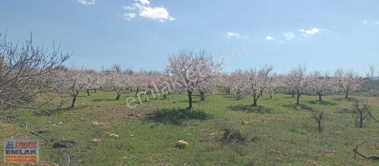 Aydıncık Emlaktan Satılık Bahçe Ve Ev - Görsel 9