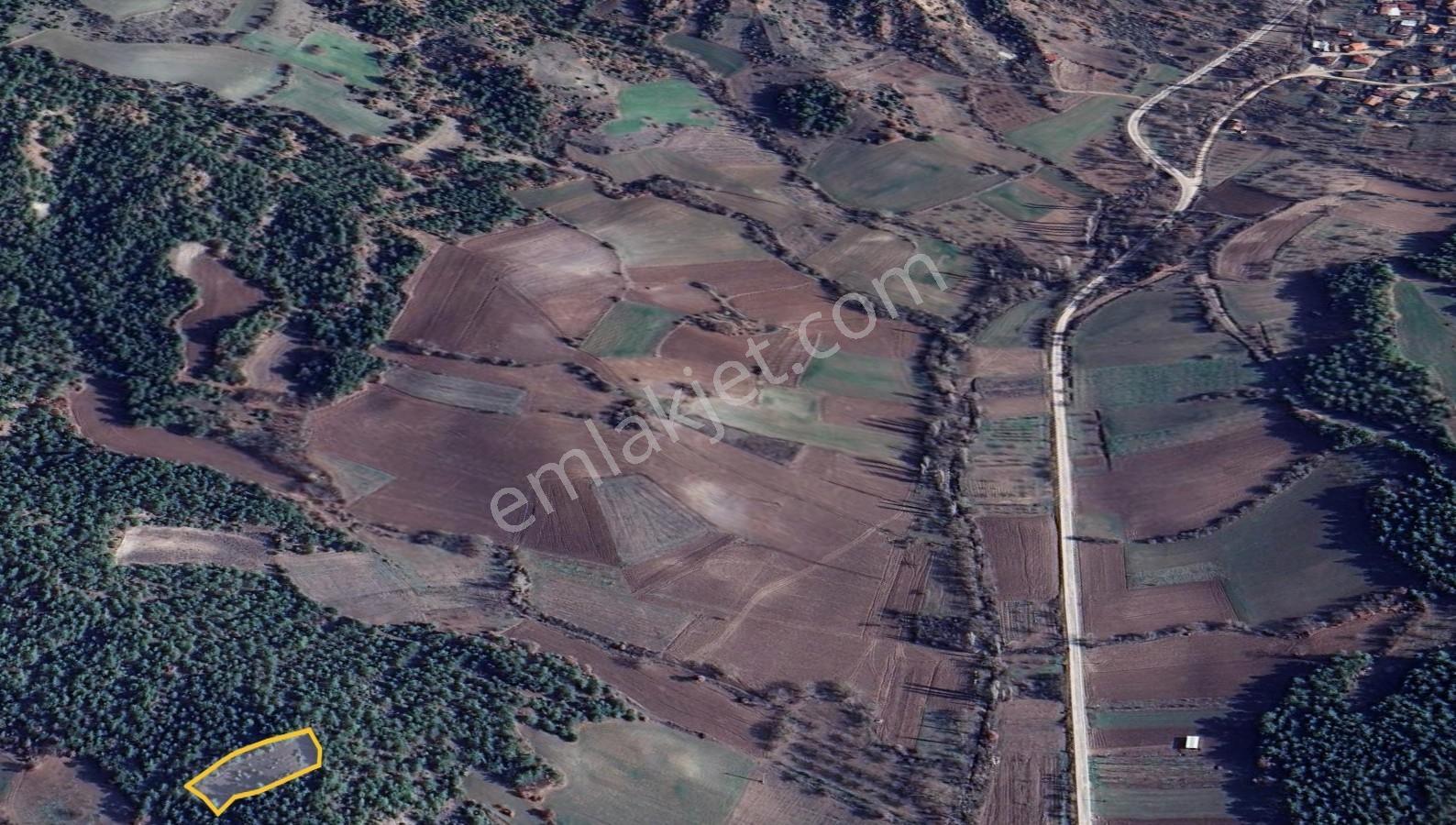 Bilecik Gölpazarı Yatırımlık 1.450 M² Stratejik Tarla - Görsel 2