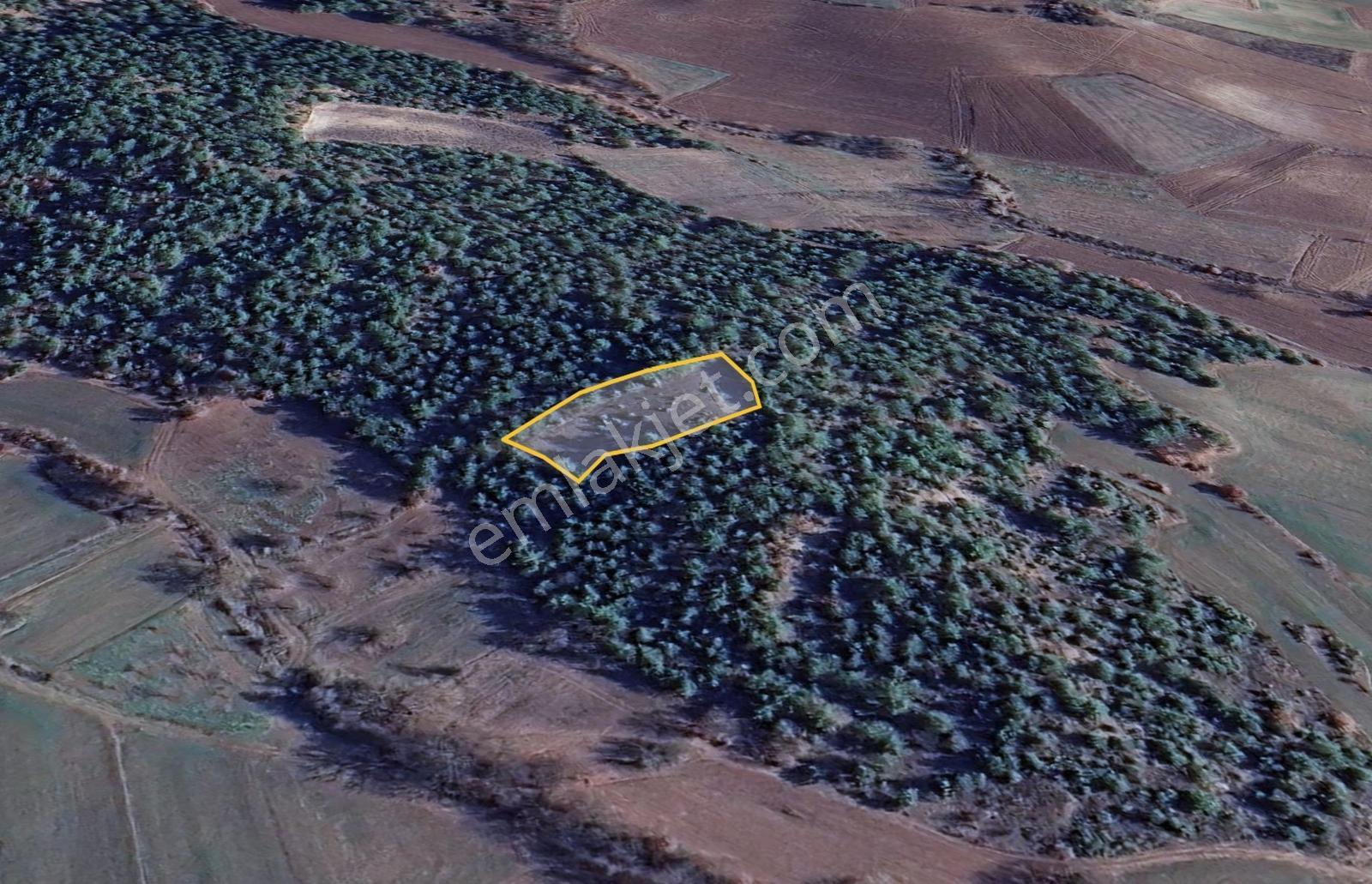 Bilecik Gölpazarı Yatırımlık 1.450 M² Stratejik Tarla - Görsel 9