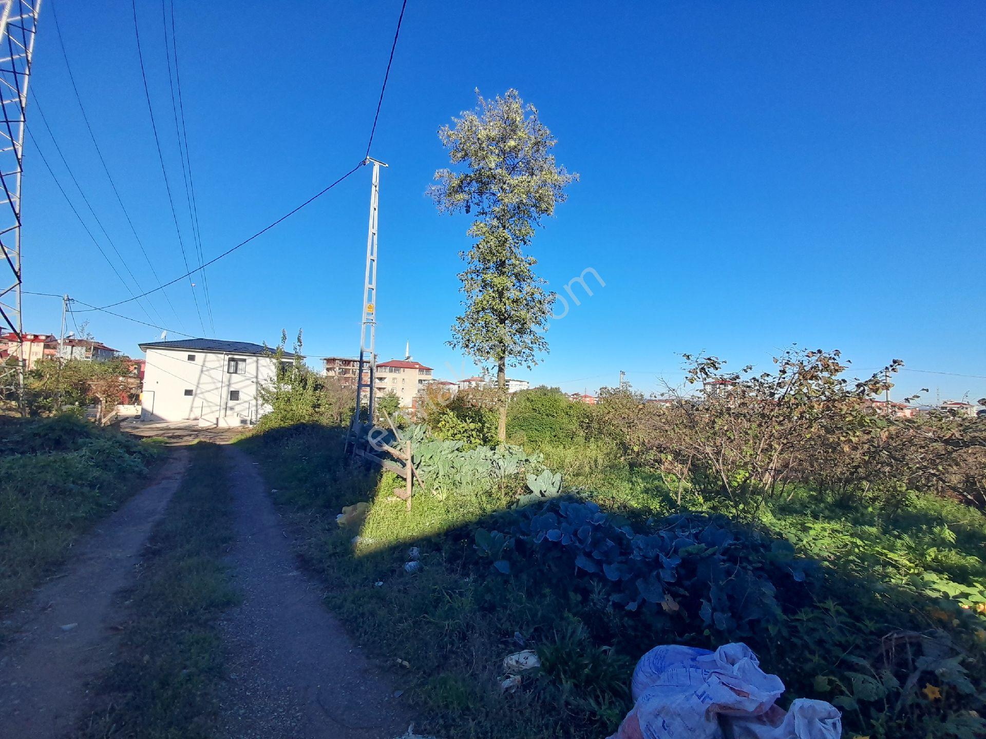 Bulancak Satılık 5 Kat İmarlı 292 M2 Arsa - Görsel 15