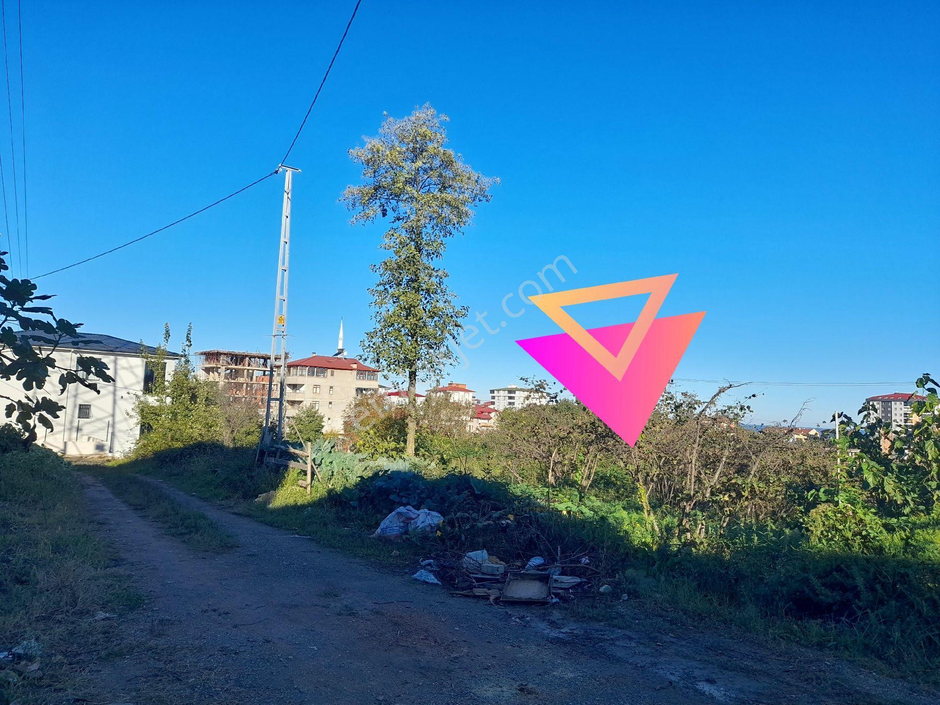 Bulancak Satılık 5 Kat İmarlı 292 M2 Arsa - Görsel 10