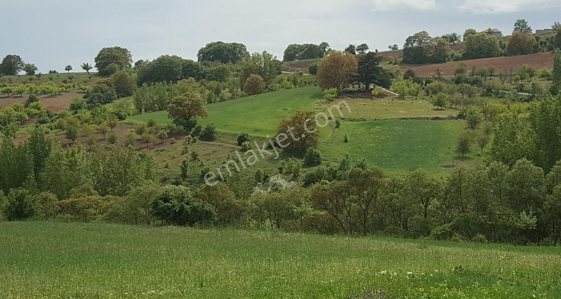 Ankara Çubuk Susuz Köyünde, 863 M2, Yatırımlık Müstakil Parsel - Görsel 8